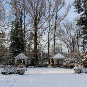 Winter in the Ambler Arboretum of Temple University.