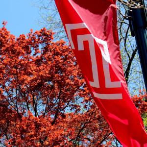 T flag flying high at Temple University Ambler.