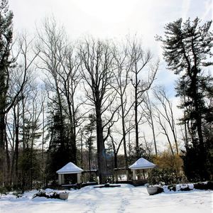 Take a winter walk in the Ambler Arboretum of Temple University.