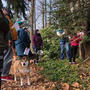Ambler Arboretum Presents: Bark Walk