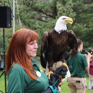 The Elmwood Park Zoo eagle visits Temple University Ambler EarthFest.