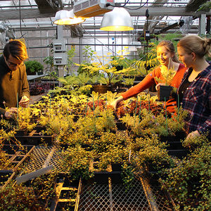 Plants are being readied in the Ambler Campus Greenhouse for the 2019 Philadelphia Flower Show