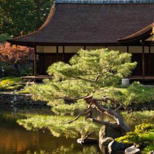 Japanese Garden Design — The Stroll Garden: Sharee Solow - Wednesday, November 14