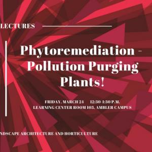 Kate Kennan will present “Phytoremediation — Pollution Purging Plants!” 