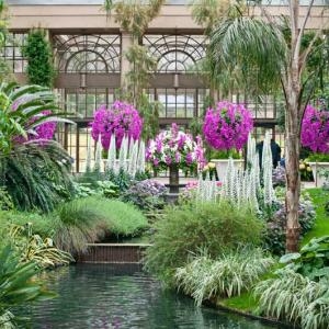Join Matt Taylor, Ph.D., Director, Research and Conservation, Longwood Gardens, as he presents “An Overview of Ongoing Research Projects at Longwood Gardens.” 