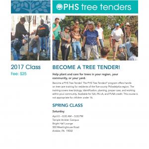 Temple University Ambler will host a Tree Tenders class on April 8.