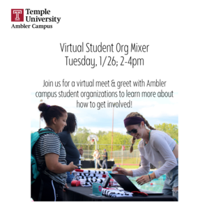 Virtual Student Organization Mixer