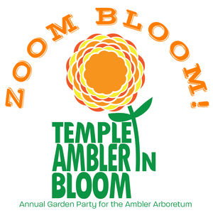 Temple Ambler in Bloom - Zoom Bloom Logo