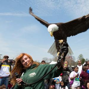 Trainer with eagle