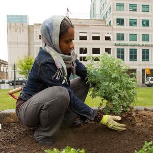 Female planting in a city garden