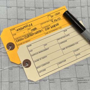 image of blank toe tags in yellow and manilla