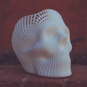 3D print of head