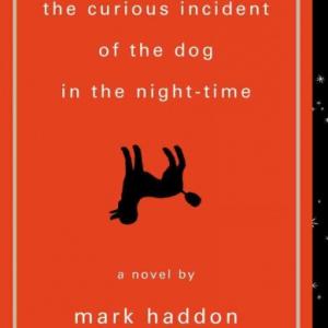 curious incident of the dog in the night time book cover