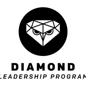 The Diamond Leadership Program logo in black and white