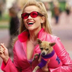 A picture of Elle Woods from Legally Blonde. 