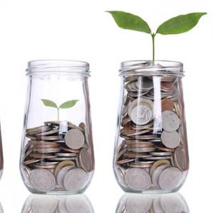 Jars of coins with a plant growing from them to indicate saving money. 
