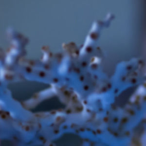 Biological model, blurred