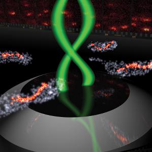 Bacteria-3D-Double-Helix-Development of 3D Superresolution Imaging Using Single-Molecule Emitters