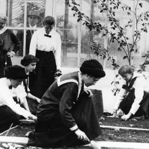Students working in a greenhouse c. 1911