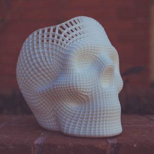 Photo of a 3D printed skull