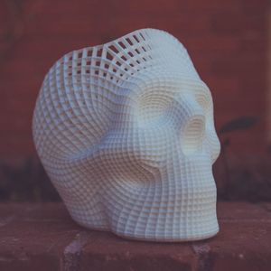 3d Printed skull
