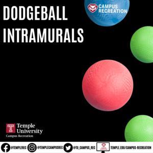 Photo of various dodgeballs.