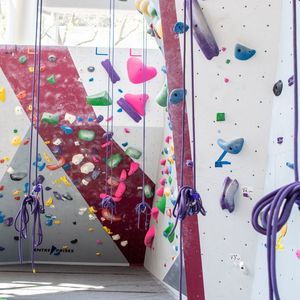The Aramark Student Training and Recreation Complex, Climbing Wall in the sunlight with purple climbing ropes hanging down.