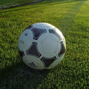 A soccer ball sitting on grass.