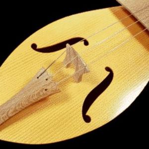 close-up of a medieval stringed instrument